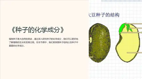 《种子的化学成分》课件