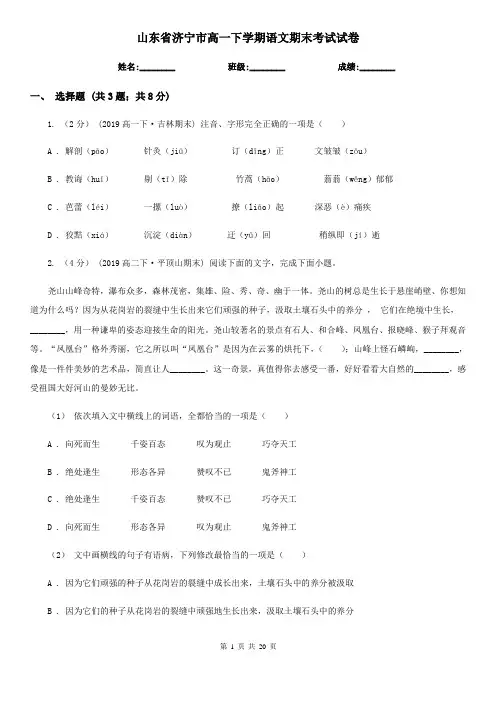 山东省济宁市高一下学期语文期末考试试卷