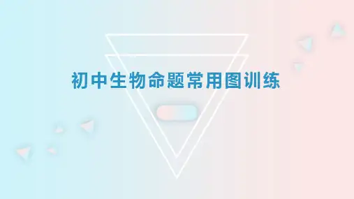 2023年中考初中生物中考命题常用图专训课件