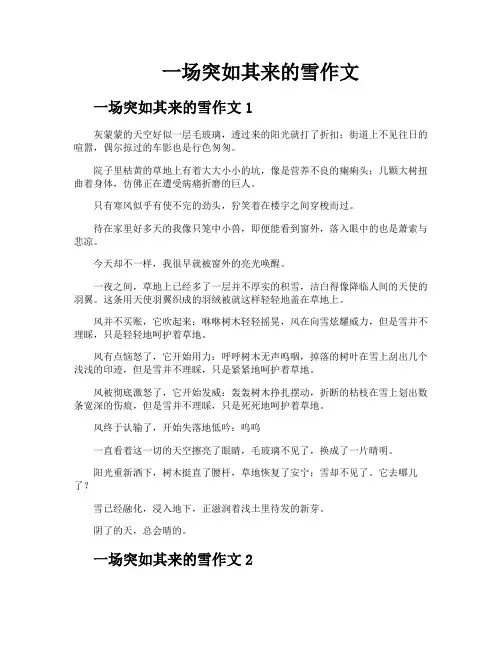 一场突如其来的雪作文
