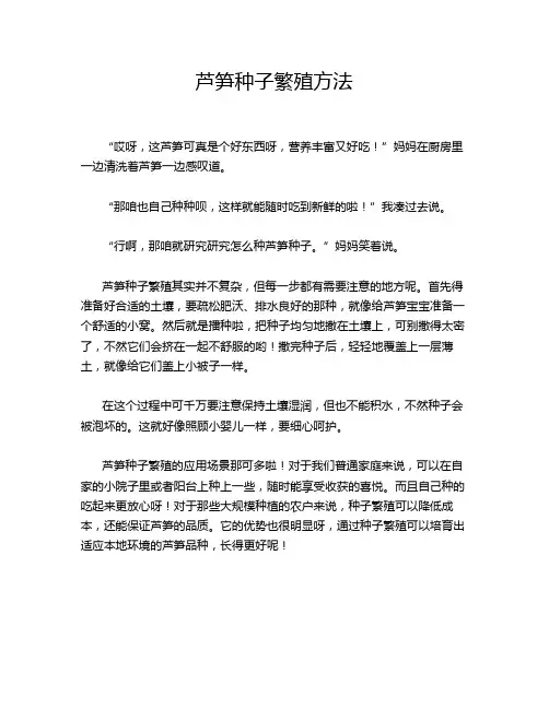 芦笋种子繁殖方法