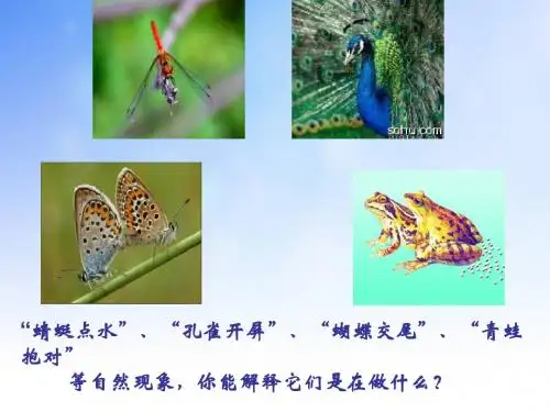 动物的生殖PPT