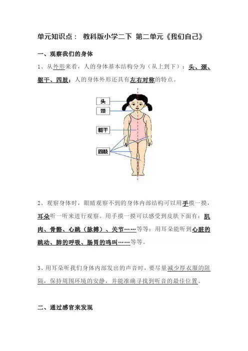 二年级科学下册素材    第二单元《我们自己》知识点总结    教科版