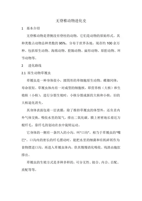 无脊椎生物进化史