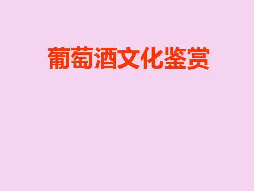 葡萄酒文化鉴赏ppt课件