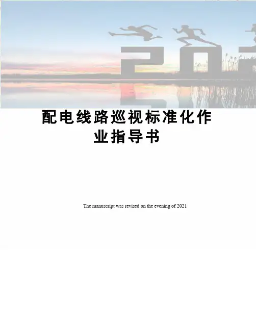 配电线路巡视标准化作业指导书