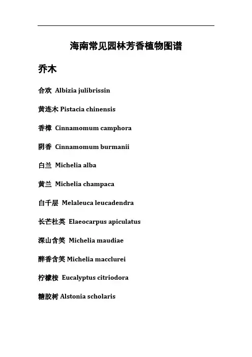 海南常见园林芳香植物图谱
