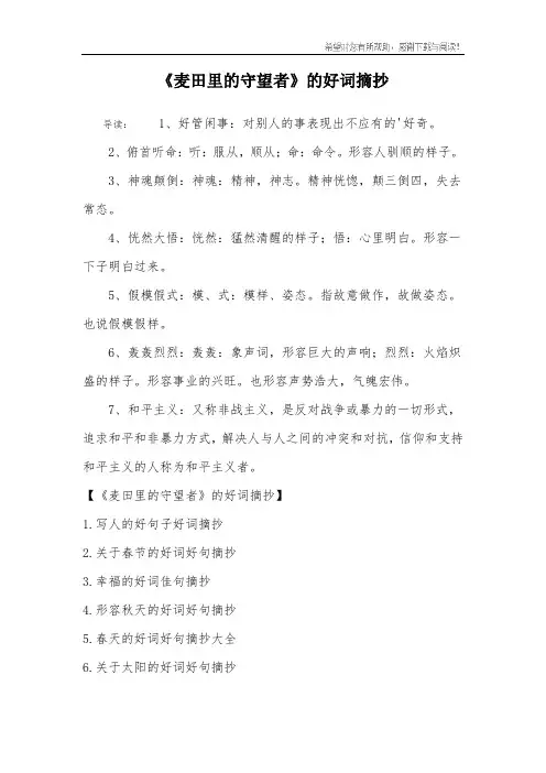 《麦田里的守望者》的好词摘抄