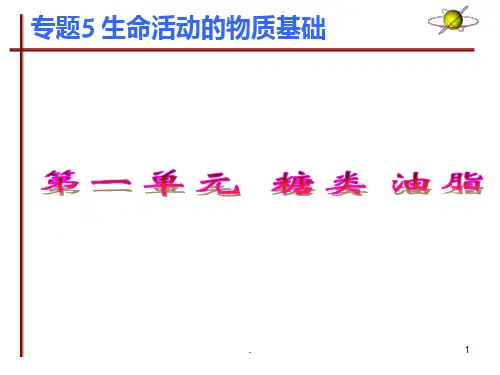 有机化学《糖类》PPT课件