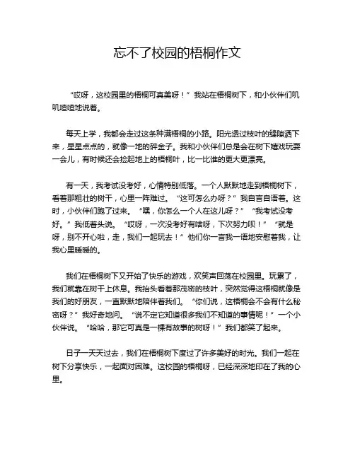 忘不了校园的梧桐作文