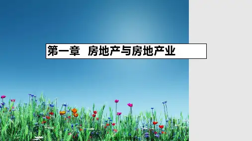 房地产经济学ch房地产与房地产业PPT课件