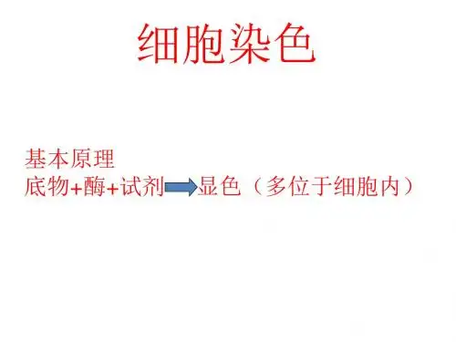 细胞染色