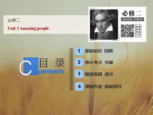 2019版一轮英语江苏译林版课件：必修二 Unit 3 Amazing people 精品