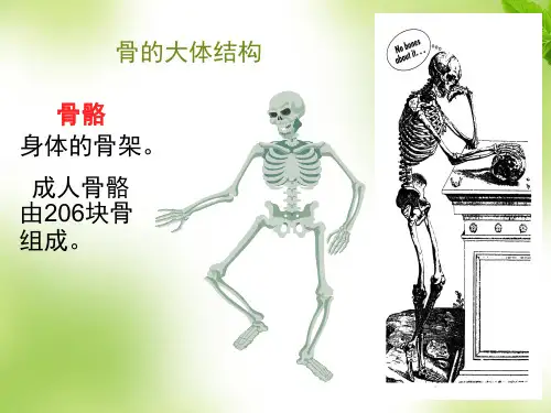 骨质疏松的科普 ppt课件