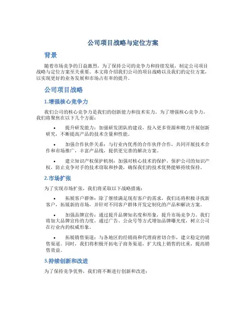 公司项目战略与定位方案