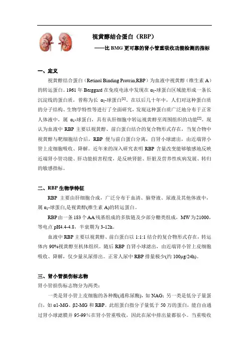 视黄醇结合蛋白产品推荐书