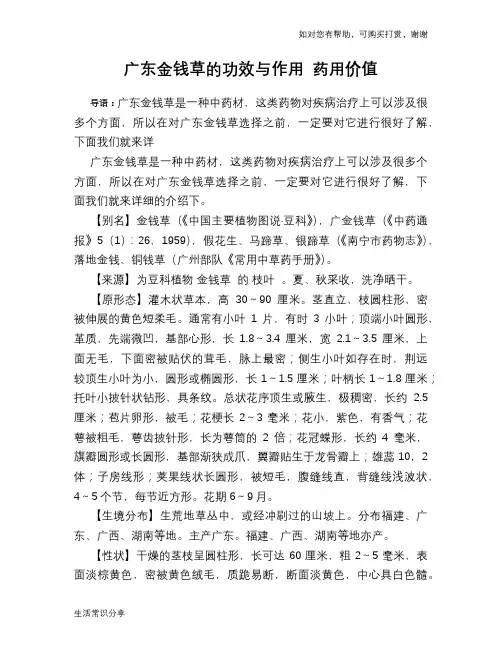 广东金钱草的功效与作用 药用价值