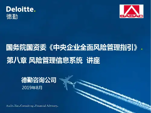 风险管理信息系统德勤-PPT课件