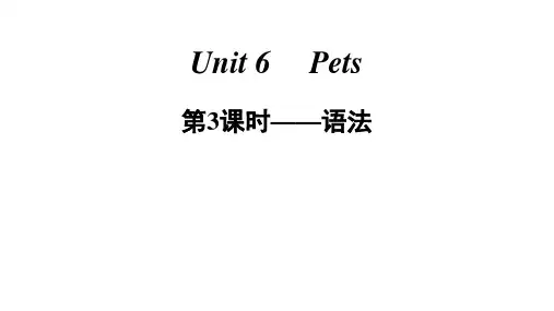 牛津深圳版八年级下册英语Unit6Pets第3课时——语法课件