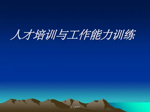 《人才与工作能力》PPT课件