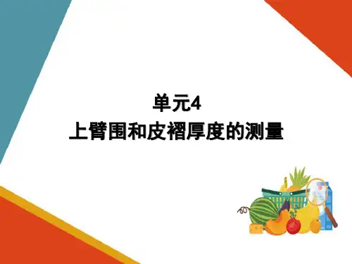 人体体格检查 上臂围和皮褶厚度的测量