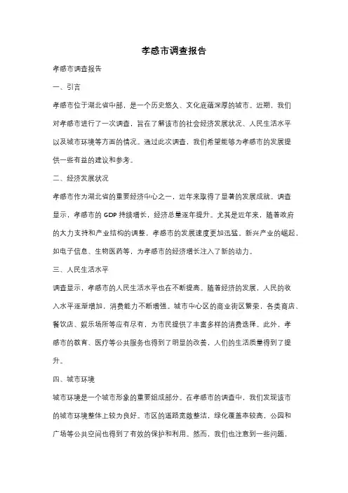 孝感市调查报告