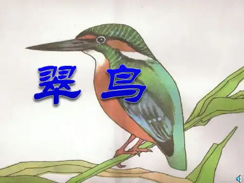 部编版三年级下册语文《翠鸟》说课教学教学说课课件