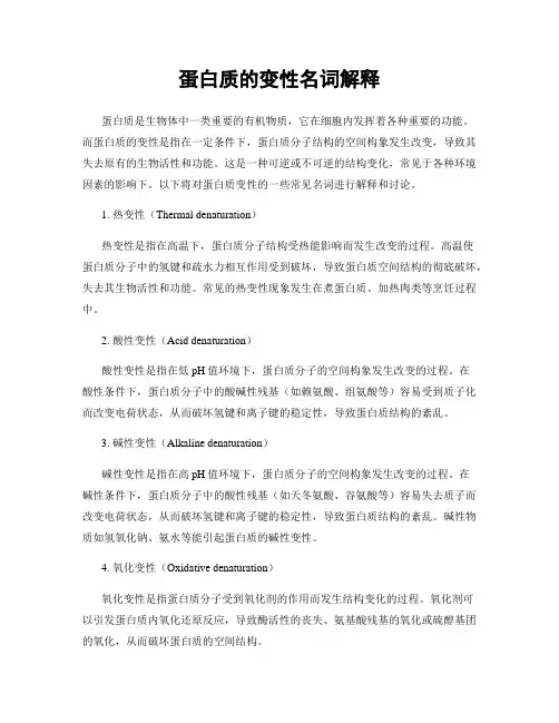 蛋白质的变性名词解释
