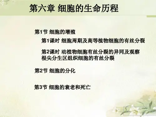 新教材人教版高中生物必修1分子与细胞 第6章细胞的生命历程 精品教学课件(共108页)