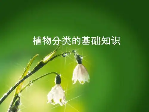 植物分类的基础知识.pot