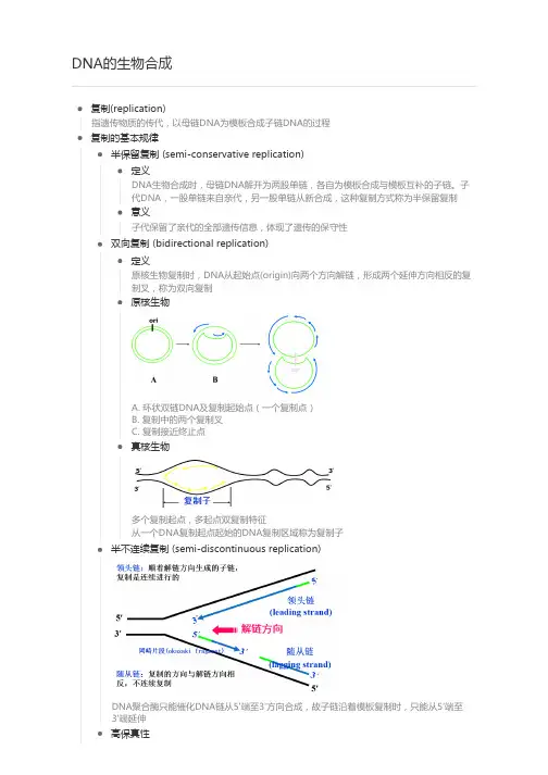 DNA的生物合成