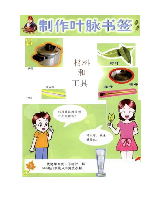 手工DIY——制作叶脉书签