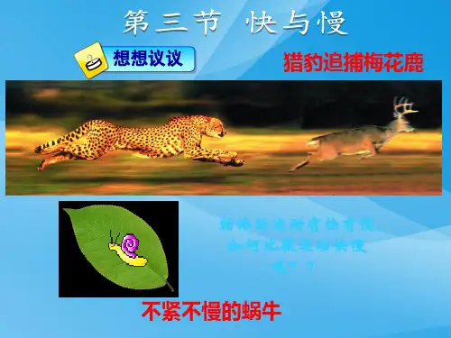 八年级物理2.3快与慢ppt课件(沪科版)物理课件PPT