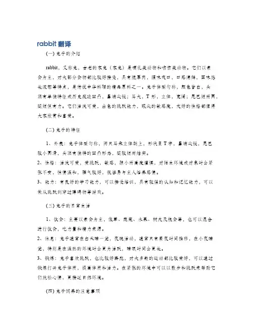 rabbit 翻译