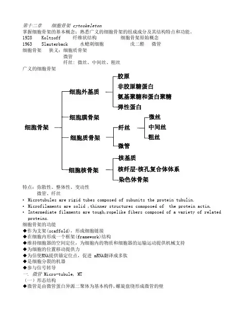 第十二章____细胞骨架_cytoskeleton