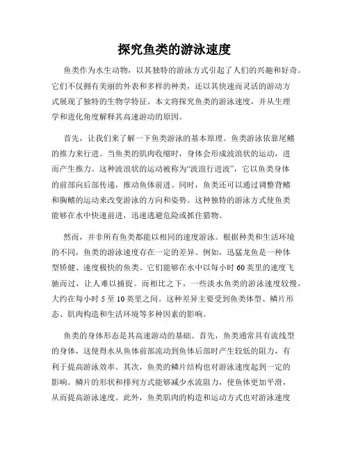 探究鱼类的游泳速度