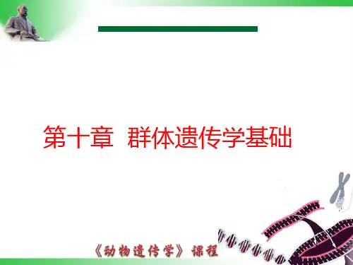 动物遗传学-第十章  群体遗传学基础