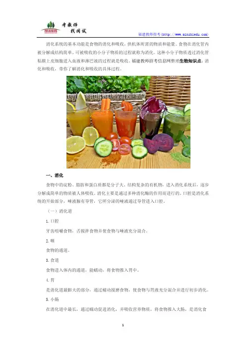 生物知识点：消化和吸收