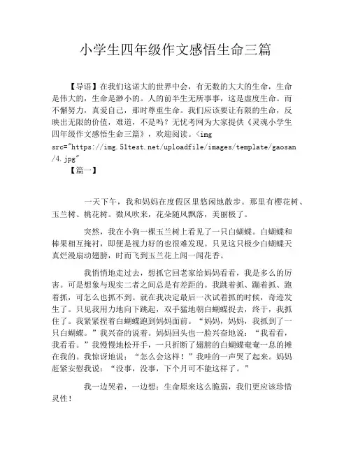 小学生四年级作文感悟生命三篇