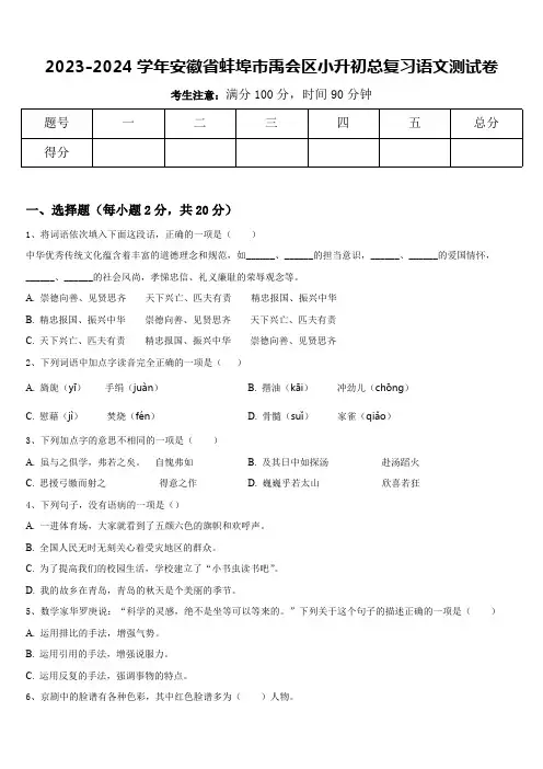 安徽省蚌埠市禹会区2023-2024学年小升初总复习语文测试卷(含答案)