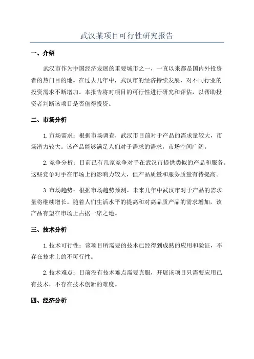 武汉某项目可行性研究报告