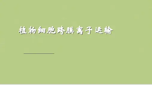 植物生理学B植物细胞跨膜离子运输