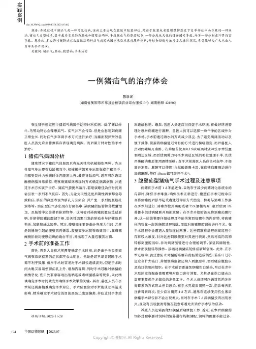 一例猪疝气的治疗体会
