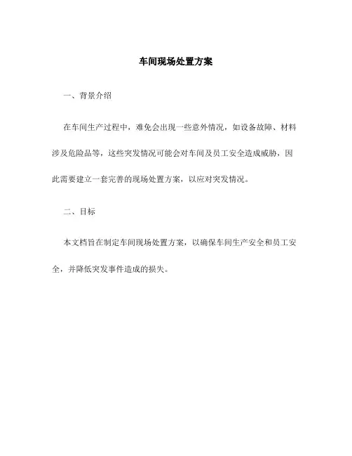 车间现场处置方案