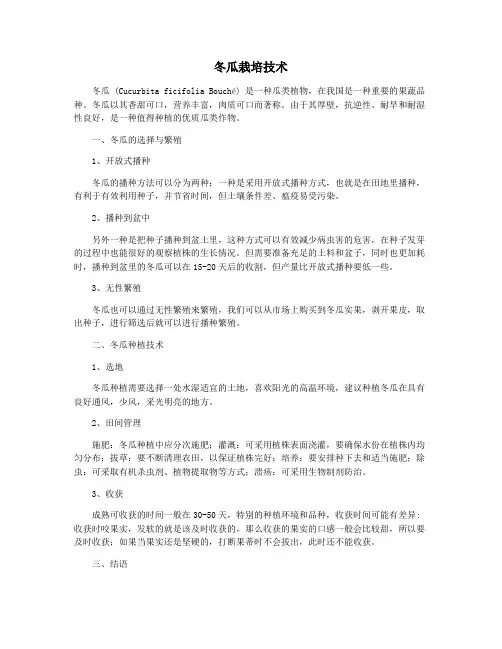 冬瓜栽培技术