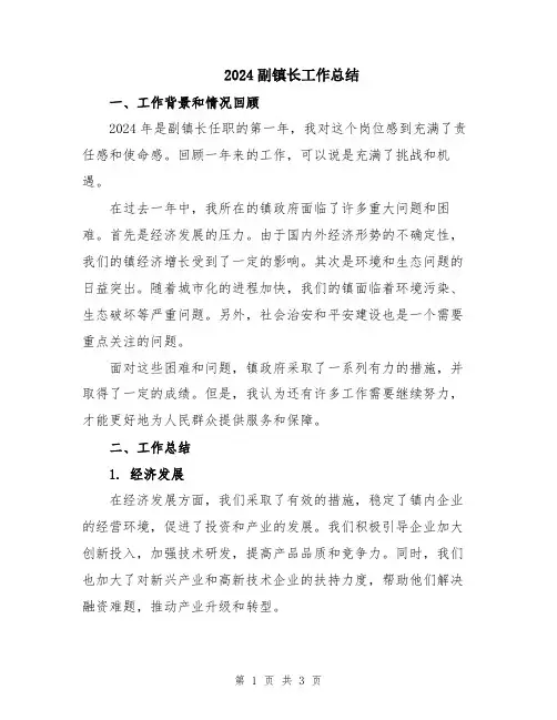 2024副镇长工作总结