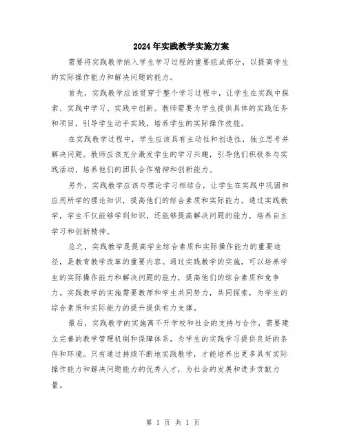 2024年实践教学实施方案