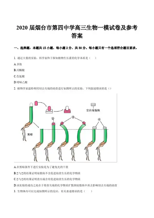 2020届烟台市第四中学高三生物一模试卷及参考答案