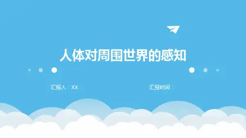 人体对周围世界的感知