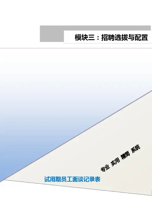 试用期面谈记录表